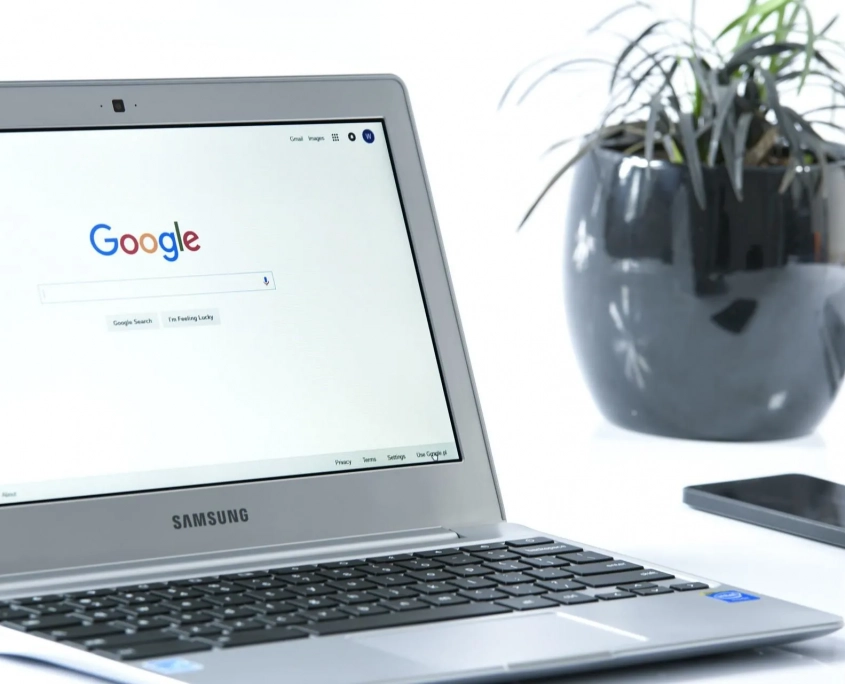 conceptos basicos google