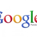 google panda algoritmo