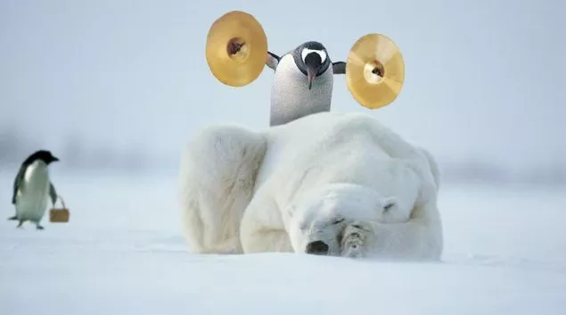 google penguin