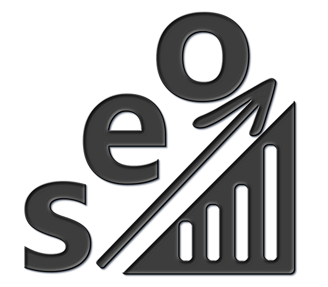 seo seo