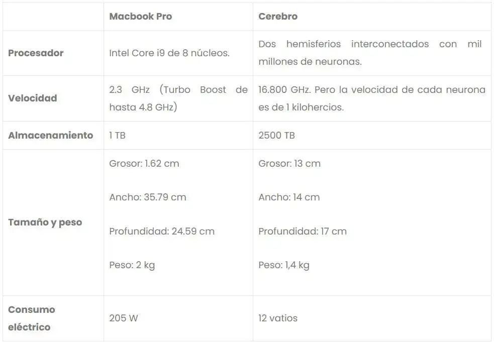 cerebro humano vs mac book pro