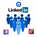 mejor plugin seo en Linkedin